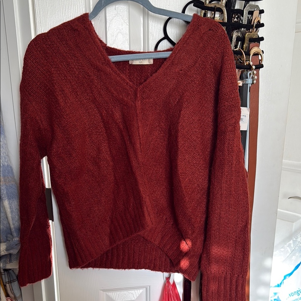 Altard State V-Neck Sweater - Rust